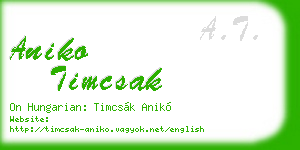aniko timcsak business card